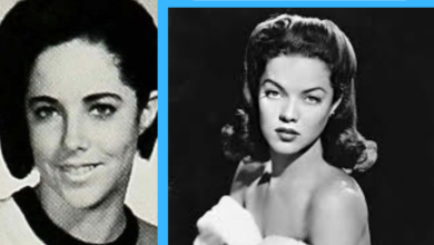 Nia Novella Travilla