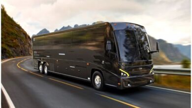 Bus Rental